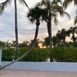 Meet your Posher, Madeleine